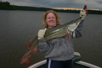 cac31d6f-f182-4fd2-8186-d0e2a0b4b395