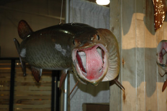 cb1884f9-ac09-4da2-a3aa-68d8b9592eaa