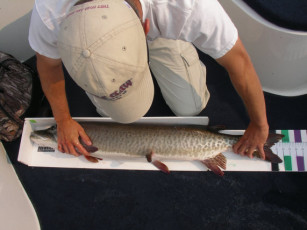 cbc420a8-d1c0-4f93-9cc9-693aa7d54ce5