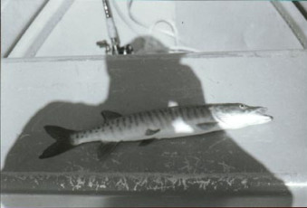 cd933548-c113-4484-9443-0119841e3d0d