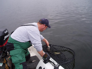 cf181f39-5c2b-44d0-9b29-a26ddc6ca122