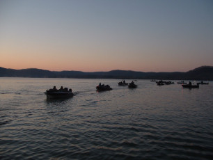 d0b21c13-402e-4d89-8ff4-87886b286333