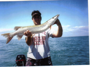 d1f03e8a-dfef-4778-b429-f7017932ac28