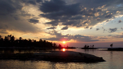 d229fe29-e14a-434f-8679-8de6affdfc3c