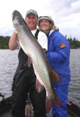 d283408d-c720-4429-9822-83d7873c00c0