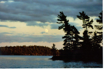 d2beb979-8407-4729-99f8-20b9be73e6af