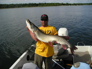 d2d46c63-6629-4ce7-8b9d-b53b8b569a50