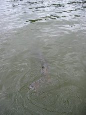 d3127898-fe6b-4411-b09d-a5703d321fcb