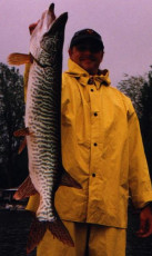 d3171863-c0dd-4461-a576-38f7063d2c92