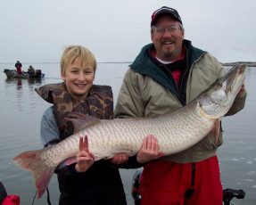 d3211d2e-ecd6-4c03-9a00-da2fefb8581d