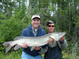 d49a7f0a-01b0-4ddb-9ab3-1e03c553ff30