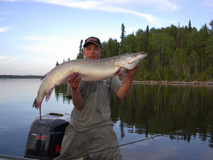 d4ed30f6-3d39-4322-8fd1-2f58e8aa95f8