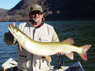 d58f9504-aba6-47c4-af83-8dfd235043ee