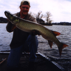 d63fc2c3-01ab-4e13-b403-1736e3db916f