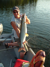 d7886c3b-f991-4d4d-97b6-1f9ed1268c13