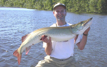 d7a2fe49-1165-4ed3-a6a8-38384023ab48