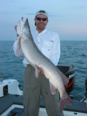 d7f83b31-4f3c-4024-be99-81cc0b2cc02a