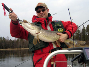 d88081bd-78d2-49d4-868f-0ec5a4f97487