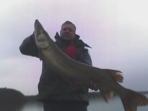 d8c8c49e-78e8-4fd6-b912-bdc01f3f66c8