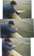 d9c5b3dc-e589-4203-926b-db2c7e3e9e24