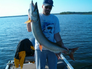 da16d4bb-59ab-4ff9-b0f5-db801795d4e8