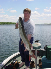 dc0c8888-fd3a-4e20-a44a-c78090f310da