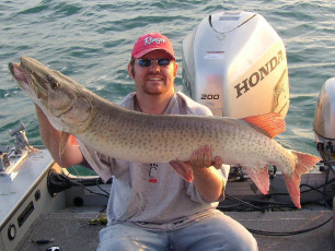 dccf5b89-fd92-4254-b087-8f054555f809