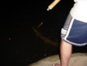 dd0f7c13-20f0-4023-8728-dc4c4d763119