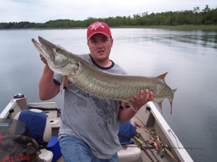 de5fabe2-17eb-4e2a-866c-8f467d4a3565