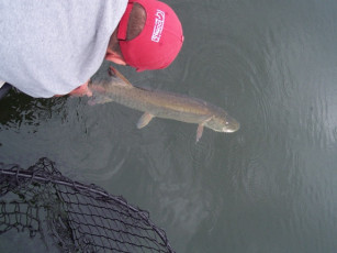 e15e35d1-694b-4318-a0fb-e50e2770e65e