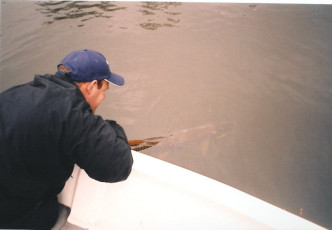 e1fa8415-aa06-4d06-9998-97ced772785d