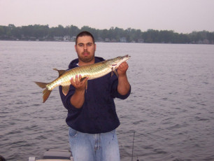 e2687525-704b-462c-af6e-8d8fe651605f