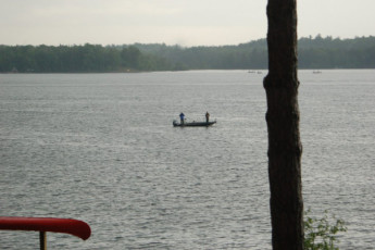 e29fd4c7-1359-4a1d-aa59-65b744aef326