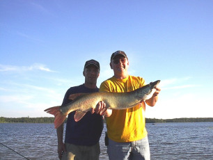 e3fd7864-4c93-4dfd-b335-807ef97d2a18