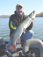 e507322c-edc4-4dc5-926e-a6e4820c2e39