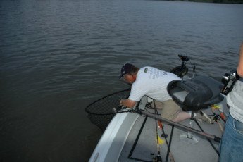 e74b85e8-c657-4d5b-adfe-c999f1c60a22