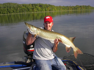 e7cb77a3-6e11-4fe2-9e8b-0f74a8c64af9