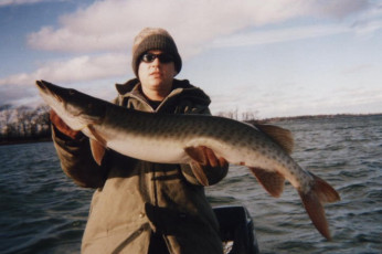 e7d54085-4937-4a39-b5c1-8614566d76b8