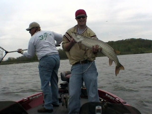 e8a7b24e-1dd0-4eac-a522-ef24ae82ff69