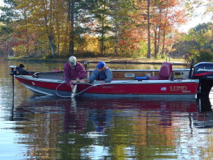 e8ccd4b3-482d-428c-9ce2-f95c674cdd82