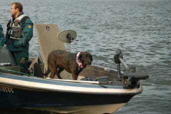 e8e2fcc1-e348-4750-805b-9c406485bdf2