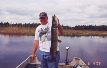 e8eb5970-c246-40df-b9d7-86782bee845c