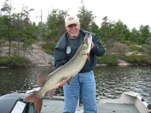 e91b6619-b285-4660-b749-dbaa7a19ab42