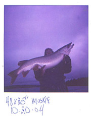 e9ea6dea-b516-4a09-83d7-a3668ff3be3d