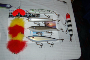 ea565cf8-03ee-4959-8ce4-9ff2fd0eb877