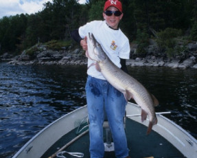 eb04c271-7385-4291-a921-f748d4e6bfd1