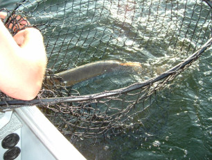 eb9c1c82-0edd-445d-a9a3-67b48d068575