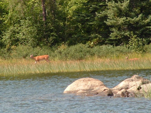 eba88c6d-095e-4e0e-a3b8-ca4ba98f8024