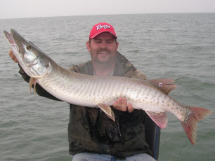 ebcd5bd9-a3c0-4b37-b095-dd22e9dec013