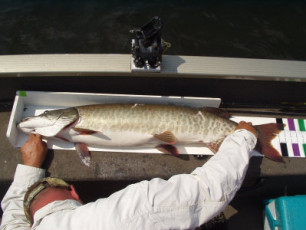 ebd95c4d-b59b-4744-baf6-455cab37bead